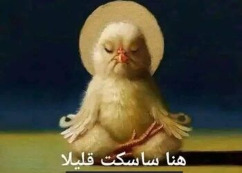 اللواء سامى دنيا يكتب لكم:مصر كبيرة اووووووووووى