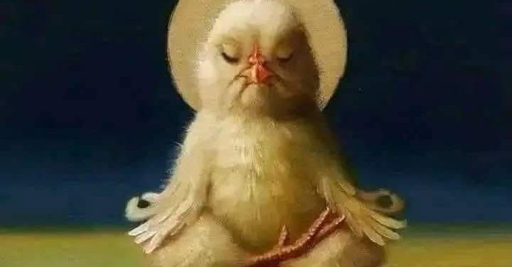 اللواء سامى دنيا يكتب لكم:مصر كبيرة اووووووووووى