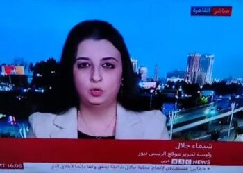 شيماء جلال: القاهرة تترقب المرحلة الثانية من مفاوضات غزة وتؤكد مرونة حماس في إدارة القطاع