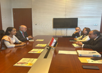 بالصور.. وزير الخارجية والهجرة يلتقى وزيرة خارجية مدغشقر