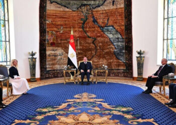 الرئيس السيسى يؤكد حرص مصر على مواصلة تعزيز التعاون الثنائى مع قبرص