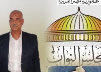 وجدى وزيرى يكتب التغيير ضرورة: لماذا يجب أن يفسح النواب الحاليون الطريق لوجوه جديدة؟