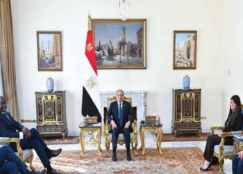 الرئيس السيسى يبحث مع رئيس مؤسسة التمويل الدولية فرص تعزيز التدفقات الاستثمارية إلى مصر