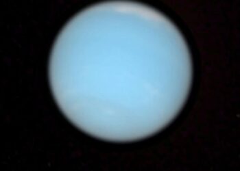 نبتون يبدأ حركته التراجعية اليوم