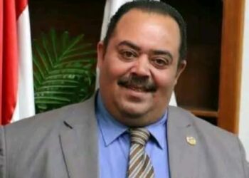 سيد الأسيوطي .. يكتب .. الإقتصاد المصرى .. معركة الصمود والوعي