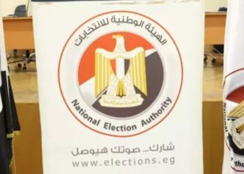 الوطنية للانتخابات تعقد مؤتمرا صحفيا غدا لمتابعة تصويت المصريين بالخارج