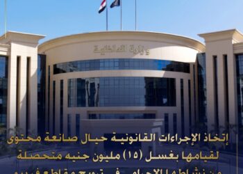 الداخلية تضبط صانعة محتوى لقيامها بغسل الأموال