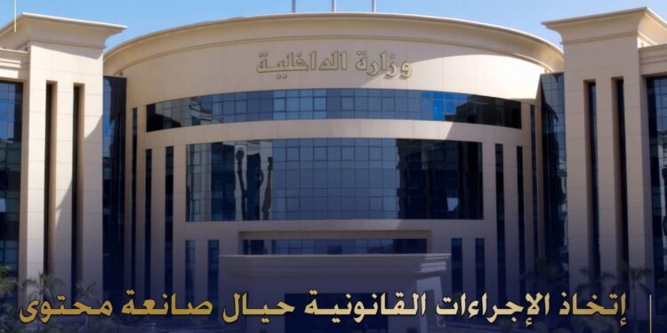 الداخلية تضبط صانعة محتوى لقيامها بغسل الأموال