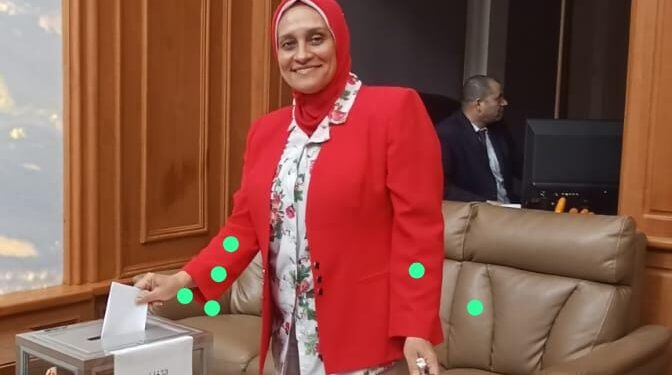 11 لجنة انتخابية فى القارة الإفريقية تفتح أبوابها لاستقبال الناخبين المصريين