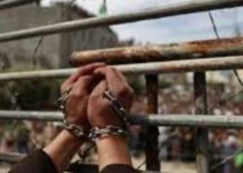 الصحة الفلسطينية تتسلم 15 جثمانا لشهداء أفرج الاحتلال الإسرائيلى عنهم