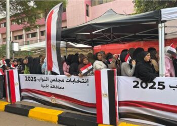 لجان الهرم تتزين بالناخبين