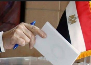 فاتن عبدالمعبود تقرأ لكم المشهد الانتخابي وتحذر من كارثة المال السياسي على الإرادة الشعبية