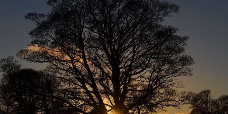 لماذا يظل وقت الفجر متأخراً بعد الإنقلاب الشتوي؟