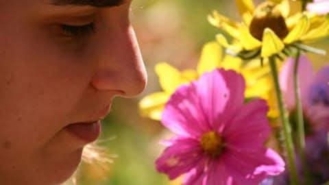 الكاتب الصحفى حامد المحلاوى يكتب لكم عن حاسة الشم فى شم النسيم