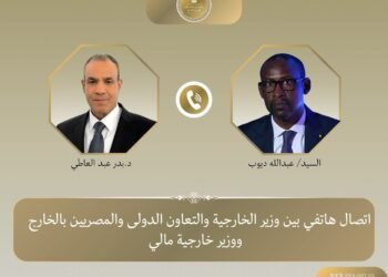 وزير الخارجية يبحث مع نظيره المالي جهود مكافحة الإرهاب في منطقة الساحل
