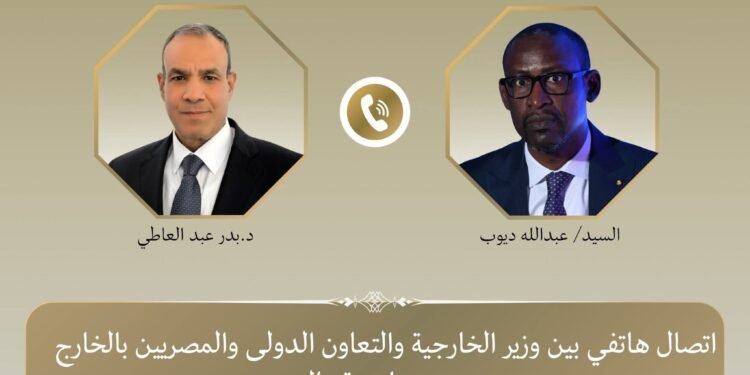 وزير الخارجية يبحث مع نظيره المالي جهود مكافحة الإرهاب في منطقة الساحل
