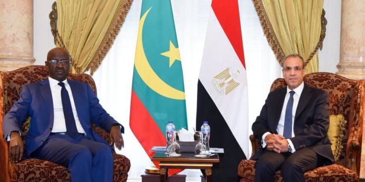 وزير الخارجية يعقد جلسة مباحثات مع نظيره الموريتاني لتطوير أطر التعاون الثنائي وتنسيق الجهود إزاء القضايا الإقليمية