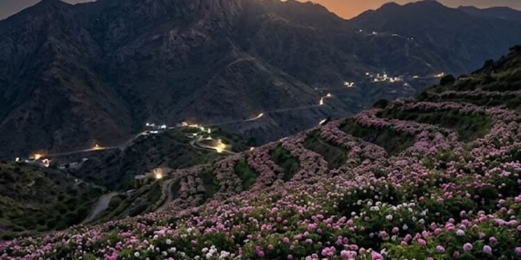 «قمر الورد الطائفي» يزين السماء الليلة