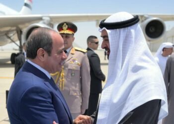 الرئيس السيسي خلال لقائه محمد بن زايد: “ما يمس الإمارات يمس مصر”