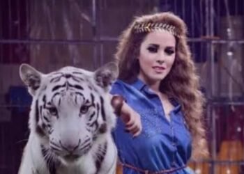 أنوسة كوتة: أقمت عزاء لنمر بعد وفاته بسبب ارتباطي الشديد به