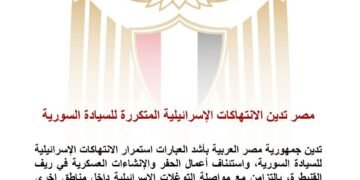 مصر تدين الانتهاكات الإسرائيلية المتكررة للسيادة السورية