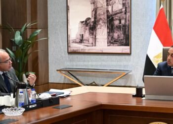 رئيس الوزراء يستعرض ملامح استراتيجة الاستثمار الأجنبي المباشر في مصر (2027 – 2030)