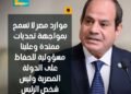 الكاتب الصحفى حامد المحلاوى يكتب لكم: خدها من مطبلاتى محترف وحاول تفهم